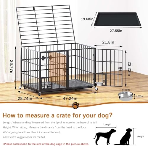 Hundekäfig, Hundebox mit Bodenschale, Hundekäfig mit Trennwand, Hundegitterbox mit 2 Türen und Tablett, 2 in 1 Doppelbox Hundegitterbox für Große und mittlere Hunde, 120 x 73 x 68 cm, Schwarz