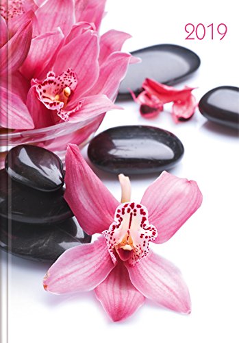 Lady-Timer Orchideen 274819 2019: Buchkalender - Terminplaner. 1 Woche 4 Seiten. Format: 11 x 15,3 c Lady-Timer Orchideen 274819 2019: Buchkalender - Terminplaner. 1 Woche 4 Seiten. Format: 11 x 15,3 c