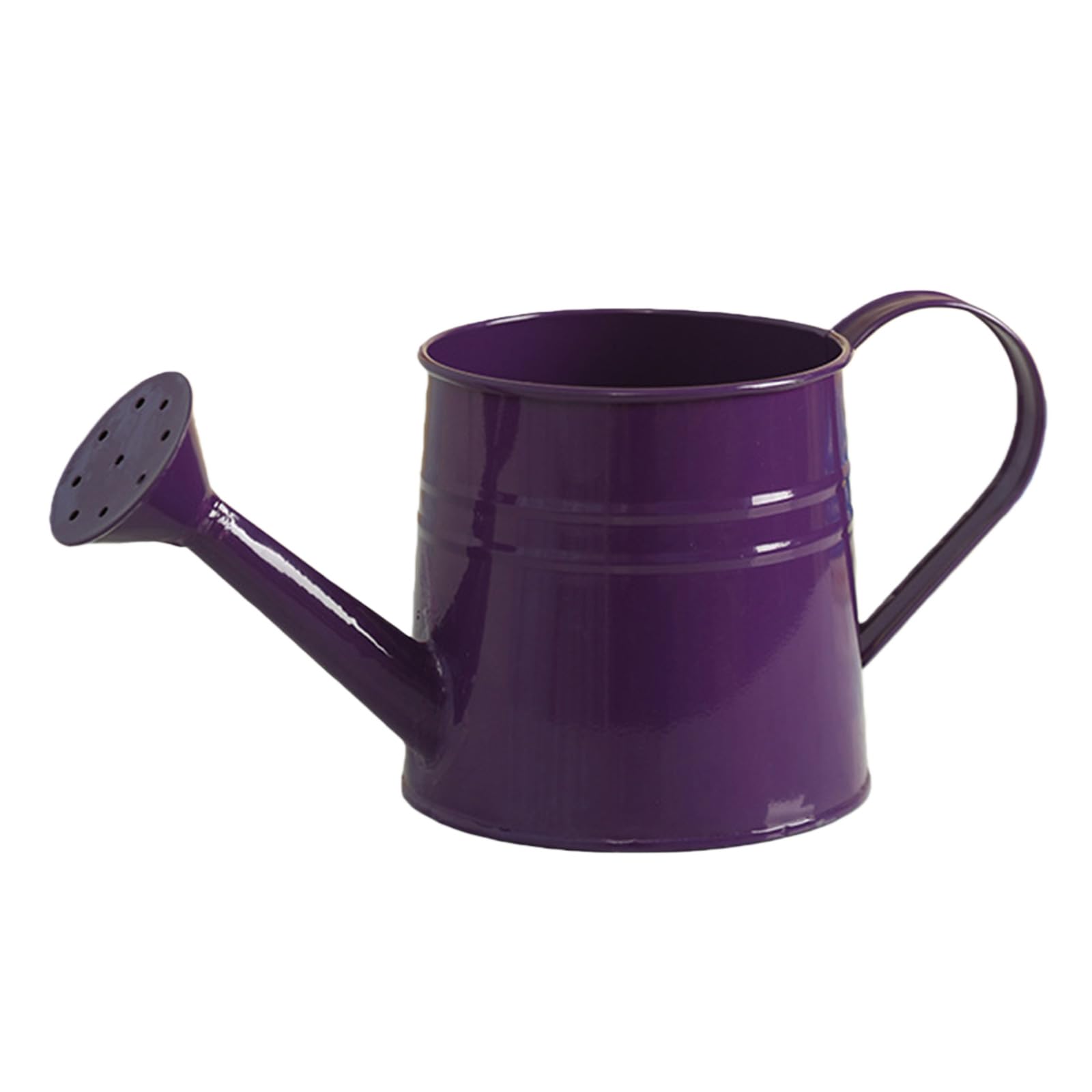 Flower Long Spout Water Can for Kids Adult with Sprinkler Head Mini Small Water Spraying Pot Sprinkle for Gardening Watering/Sprinkling (Purple)