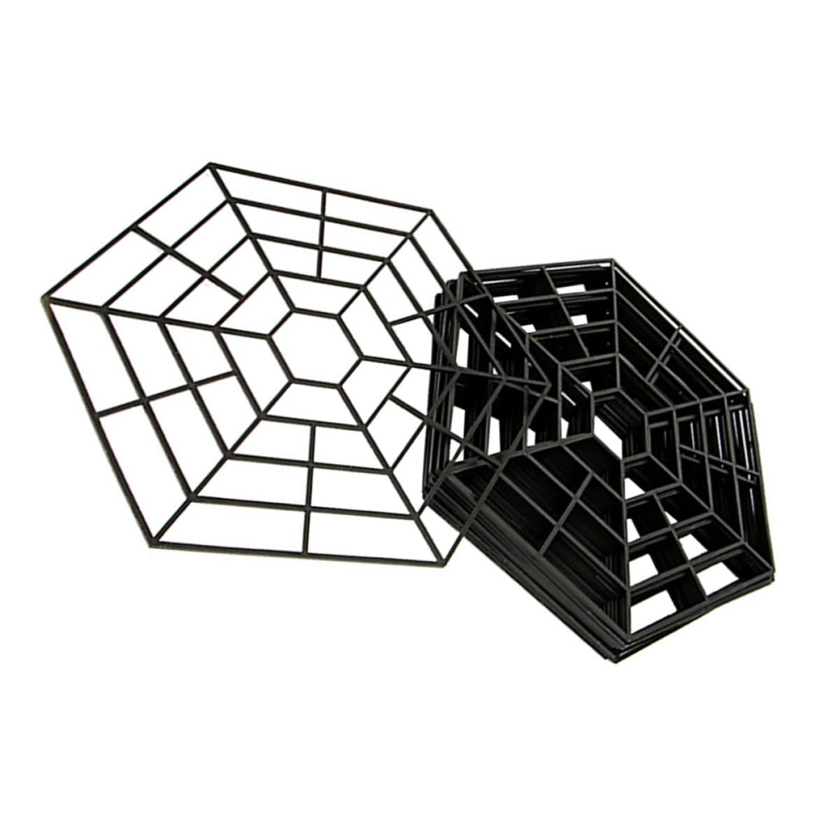 Filet de protection pour poissons d'étang hexagonal noir en PP, lot de 20 pièces