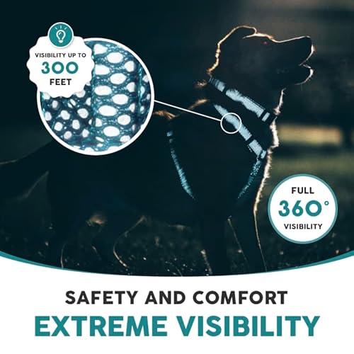 Embark Illuminate Reflective Dog Harness – Easy On And Off, No Choke Dog Walking Harness - Be Seen From All Angles -No Pull Dog Harness- Dog Harness For Small Medium Large Dogs No Pull, Blue Dog Vest. #TOP5