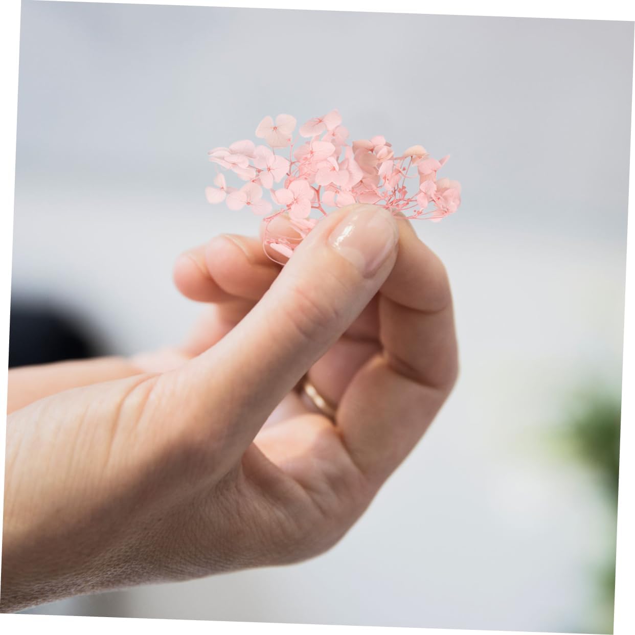 ABOOFAN Natural Pink Hydrangea Dried Petals Pack for DIY Nail Art Supplies and Wedding Party Decorations Preserved Eternal Flowers for Crafting and Vase Arrangements
