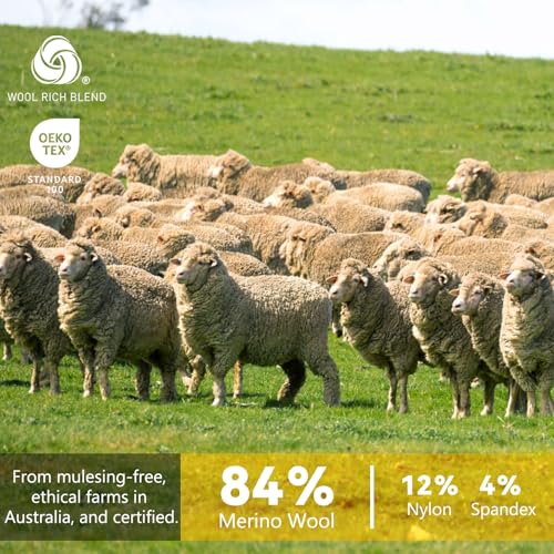 Merino Protect Merino Wool T Shirts Men Odor Resistance Functional T-Shirt Lightweight Undershirt for Hiking Traveling3