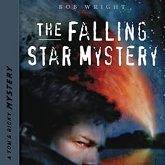 The Falling Star Mystery cover art