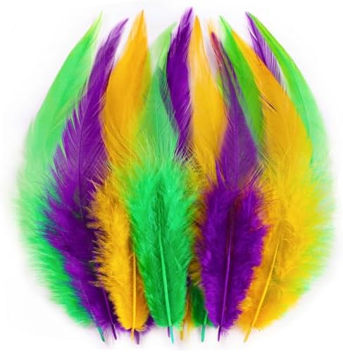 Holmgren Mardi Gras Craft Feathers - 200pcs 5-7inch Rooster Feath...