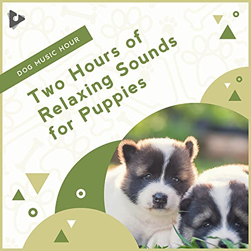 Two Hours of Relaxing Sounds for Puppies de Dog Music Hour, Relaxing
