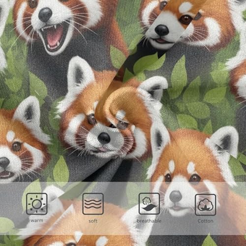 Joisal Print Toddler Underwear Floral 2t Cotton Panties Little Girl Adorable Brown Raccoon Faces Briefs Underpants3