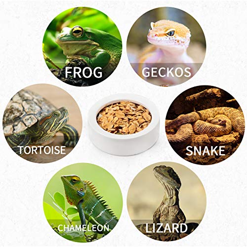 Meanplan 4 Pieces Reptile Water Food Bowl Terrarium Bowls Worm Dish Ceramic Pet Bowls Mini Reptile Food Ceramics Water… - Image 8