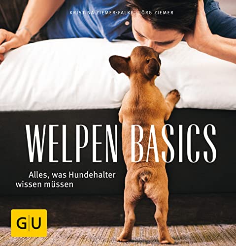 Welpen-Basics: Alles, was Hundehalter wissen