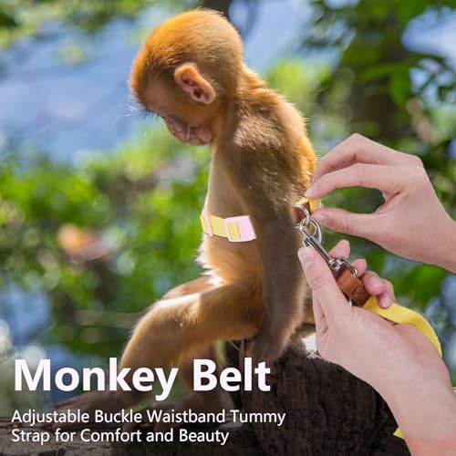 Image of Mini Monkey Leash, Adjustable Monkey Strap with Belly Bands and Matching Leash for Marmoset Monkey, Maximum Dimension 5.7 Inches for Monkey, Comfortable and Durable