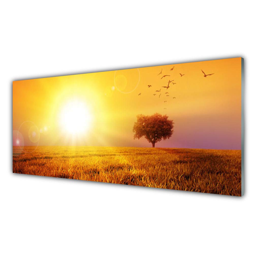 Tableau Mural Moderne en Verre Trempé 125x50cm Tulup Paysage Sun Meadow Décoration Design