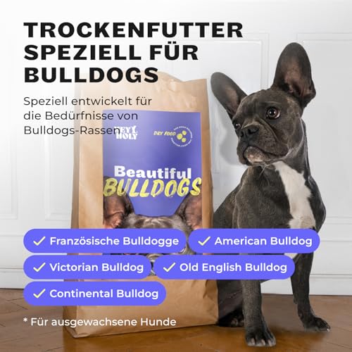 HEY HOLY Set 7 kg Premium Trockenfutter & 1 x 150 g Snacks für Bulldoggen 100% getreidefrei | Hundefutter & Leckerlis für ausgewachsene Bulldoggen mit Lachs | Hochverträglich aus natürlichen Zutaten