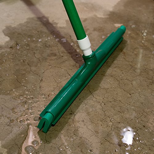 Image of Carlisle FoodService Products 4156709 Spectrum Plastic Foam Rubber Hygienic Squeegee, 18 inch Length, Green (Case of 6)