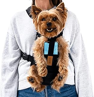 Pet Backpack Carrier for Small Dogs 4-6 lbs with Cell Phone Holder - Perfect for Yorkie, Papillon, Chihuahua, Maltese and More - Legs Out Travel Bag for Cats, Puppy - Front and Back Harness