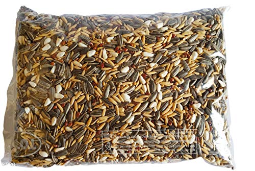 Pets Wizard Bird Food for African & Cocktail - 13 Mix Seeds 450 Grams (B07ZNN753Q) Amazon Price History, Amazon Price Tracker