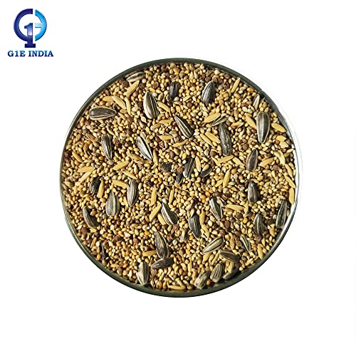 Image of Hand-Selected Seed Mix for All Life Stages Dry Bird Food for Little Birds - Little Birds Mix Seeds 900 Grams - Pack of 4 (3600 Grams)