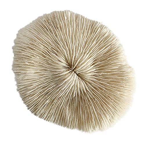 MAGICLULU Elegant 1pc Mushroom Decor Crafted Home Accessory Jewelry Desktop Adornment Mushroom Shaped Decor