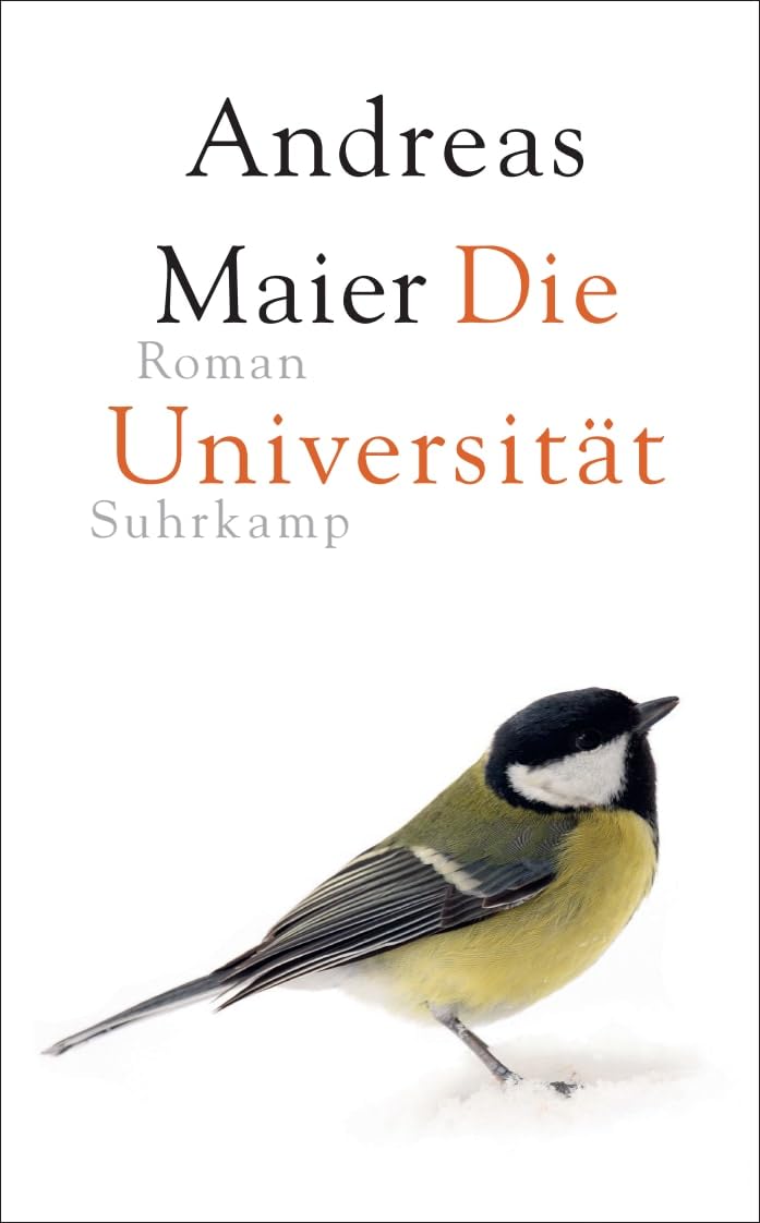 Die Universität: Roman