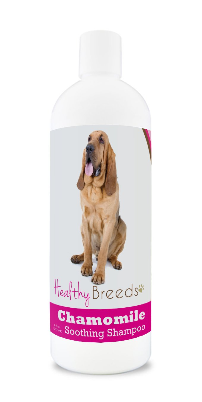 Healthy Breeds Yorkshire Terrier Chamomile Soothing Dog Shampoo 8 oz — view 86