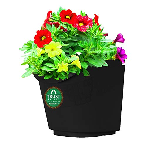 TrustBasket Vertical Gardening Hanging Pots/Planters(Large) - Set of 6 | Plastic Vertical Wall Hanging Pouches for Home & Outdoor Balcony Garden Decor |Wall Hanging Pouches for Grills