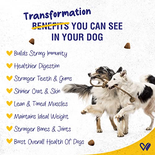 Image of Wiggles Ykibble Dry Dog Food Adult Pet and Senior Dogs (900 gm) | 100% Human-Grade Ingredients | Rich in Nutrients | Oven Baked Nutritionally Balanced Healthy Food for All Breeds