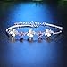 Looyar 925 Silver Fashion Clover Leaves Foliage Bracelet White Blue Purple Crystal Charm Bracelet (Purple)