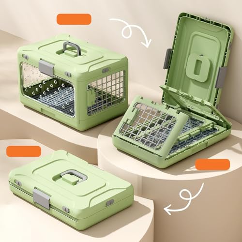 Cage transport chat et chiot rigide avec rangement pour road trip