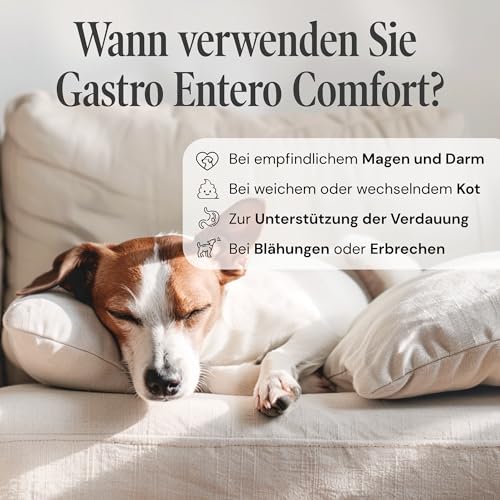 Gastro Entero Comfort Hund – Durchfall Hund, Erbrechen & Magen-Darm-Probleme – pflanzliches Nahrungsergänzungsmittel für Verdauung & Darmflora – 90 Tabletten à 1000 mg – Sensipharm
