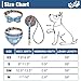 EXPAWLORER Klassisches Kariertes Hundehalsband mit niedlicher Glocke, kein Verheddern, verstellbare Halsbänder für Welpen, kleine Hunde
