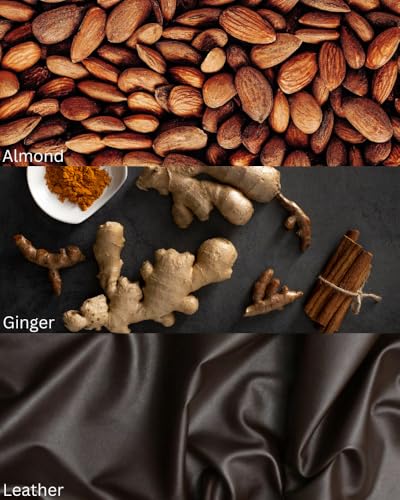 Image of TOXICMALE Mr B + F Fabulous | Perfect Long lasting Men's perfume for Office | perfumes for men | Gift for him | TMA42 | 50 ml perfume | TM Perfume House