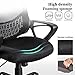 Ergonomic Office Chair Lumbar Support Mesh Chair Computer Desk Task Chair with Armrests