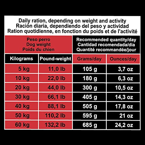 Arquivet Original Adult, 3 kg, Futter für Erwachsene Hunde, iberisches Schwein und Reis, Hundefutter, Trockenfutter für Hunde, Hundefutter, Gesundes Futter