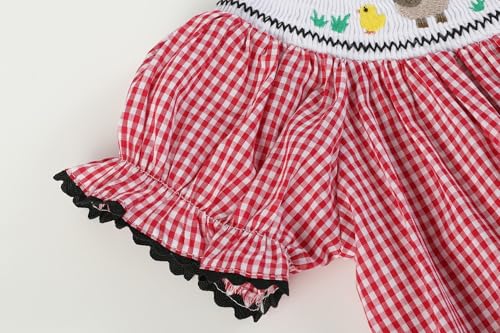 Baby and Girls Gingham Smocked Bishop Dress4