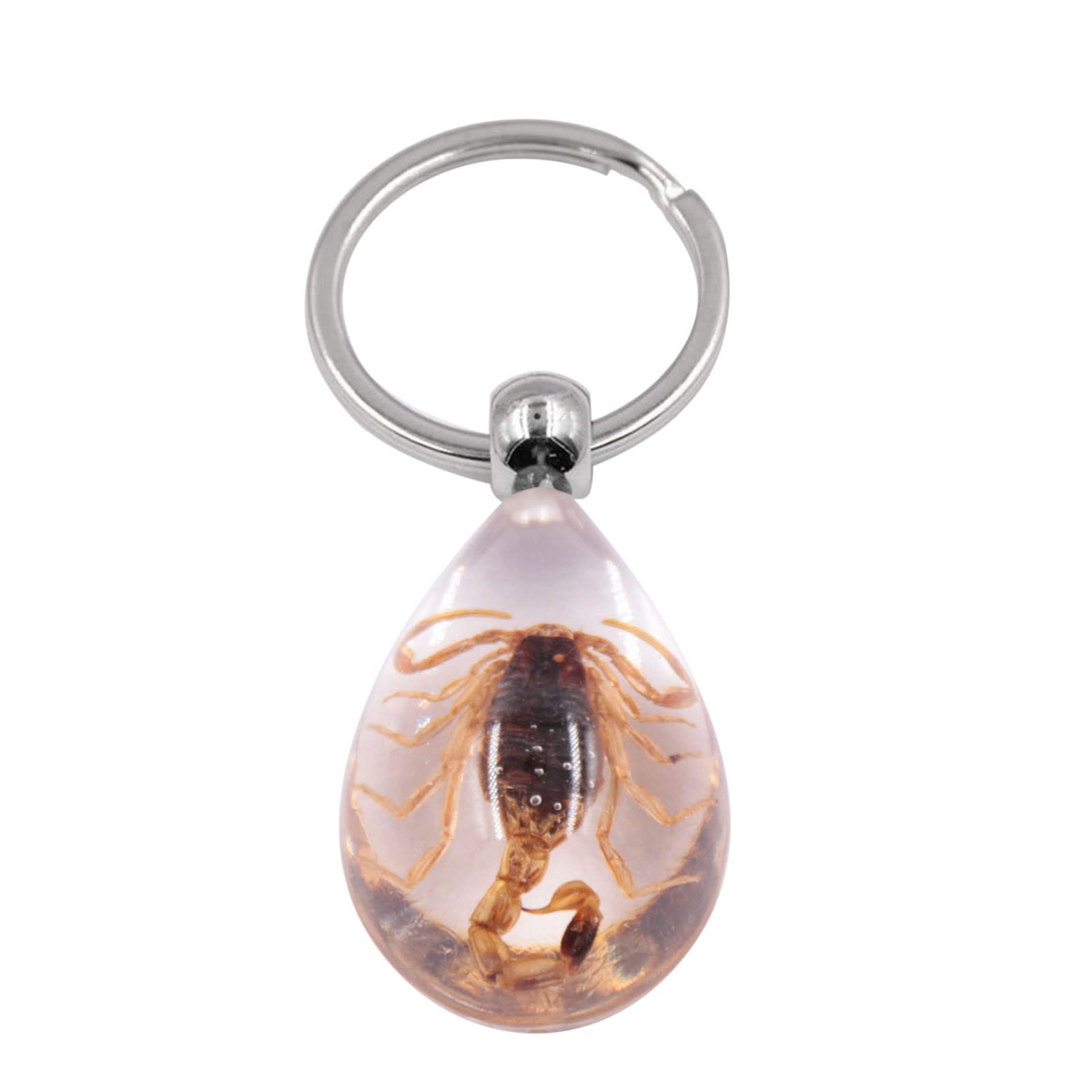 Portachiavi Auto Con Insetto In Resina Ambra - Ciondolo Scorpione - Regalo Originale Uomo E Donna - 2