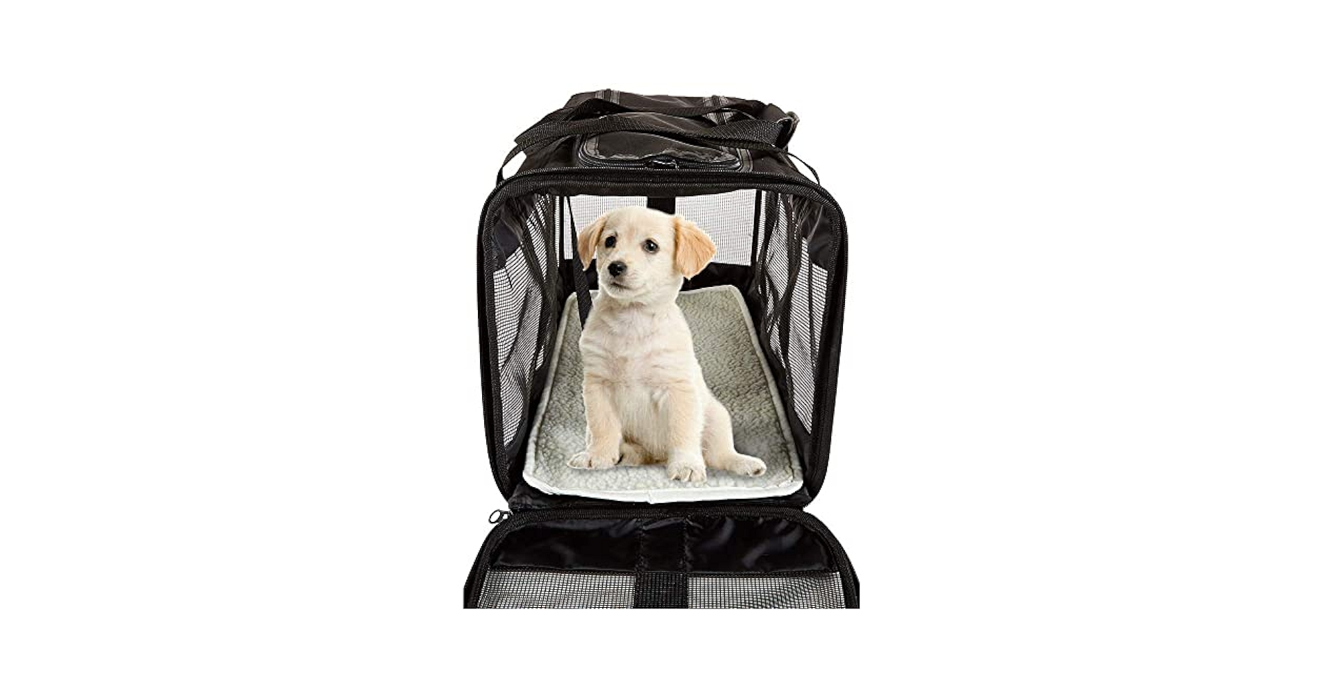 ユナイテッドペッツ　ペットキャリー Amazon | UNITED PETS(ユナイテッドペッツ) リバースキャリー