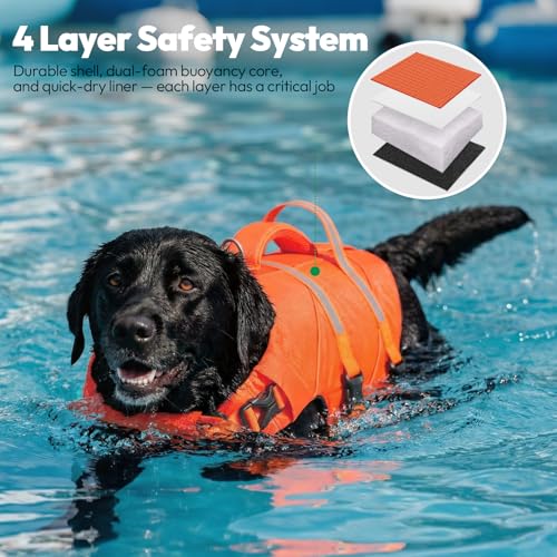 Aide à la nage chien taille moyenne pour nager sans s'épuiser - 5