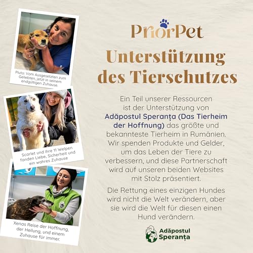 Hunderampe Auto Klappbar - Stabile und rutschfeste Hundeleiter Auto & SUV bis zu 90kg Belastbar - Teleskop Alu Rampe für große Hunde - Reflektierende Seiten - Hundetreppe - Befestigungsclip - Grau