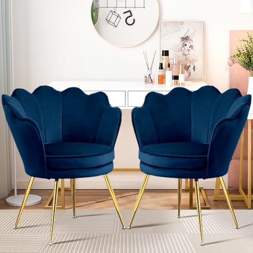 Czlolo Accent Chairs Set of 2, Velvet Vanity Chair with