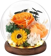 FAYODO Preserved Flowers with Light, Eternal Rose as Gifts for Women Mom Grandma Girlfriend for B...