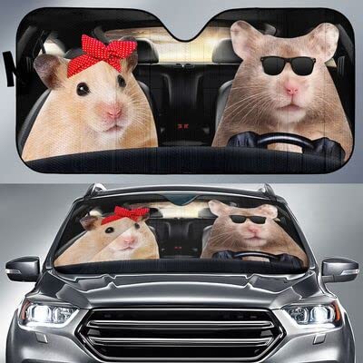 Pare soleil voiture imperméable et universel avec motif drôle de cochon d'inde été M