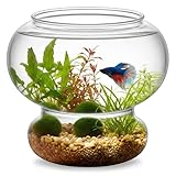 Mini Aquarium, Dekoratives Plastik Kleines Aquarium 700ml Goldfischglas Unzerbrechliches Mini Fish Tank Spaßdesign für Tischdekorationen, Vasen, Partydekorationen