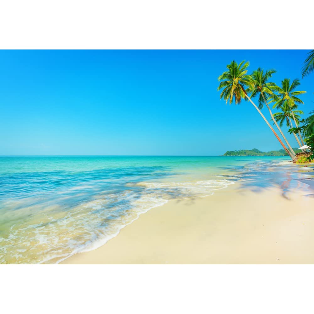 Tropisch Strand Palmboom, Strandstoel En Kokosnoot Op De Kust Vector Illustratie Eps 159700592