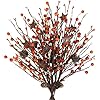   Winlyn-6-Pcs-Artificial-Berry-Picks-with-Rusty-Metal-Stars-Orange-and-Cream-Primitive-Pip-Berry-Sprays-Fall-Floral-Stems-17-for-Autumn-Country-Wedding-Thanksgiving-Wreath-Basket-Floral-Arrangement