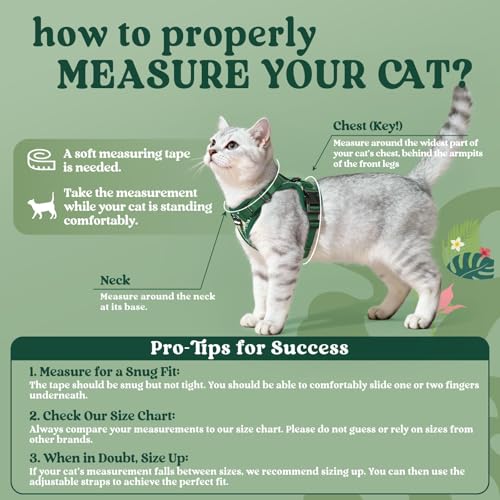 Image of rabbitgoo Cat Harness and Leash Set, Escape Proof Vest, Rainforest Green | Soft Breathable Mesh, Easy Adjustable Fit, Snap Buckles, Sturdy Clip, Reflective Strips, for Average Cats Walks, S