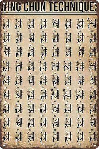 Funny Gym Decor Vintage Metal Signs Wing Chun Techniques Retro Ti...