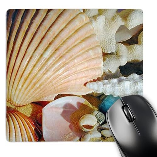 3dRose LLC 8 x 8 x 0.25 Inches Mouse Pad, Sea Shells (mp_935_1)