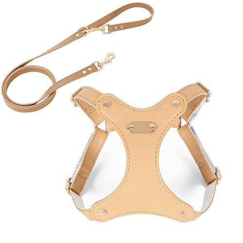 Ghbunuz pn[lXAhbOApn[lXƃ[h̃ZbgA\tgU[AȂAʋCAȂA\Aϋv̂錢pA^A^A^ɓKĂ܂ ȒPȎUg[jOybgpi pփ[h (AvRbg,M)