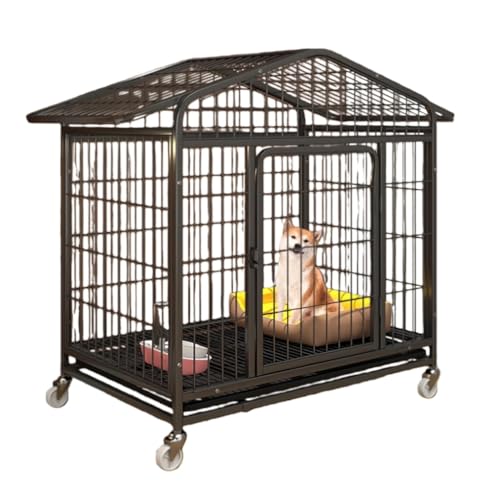 ���p�P�[�W �y�b�g �� �Q�[�W �� ���̃y�b�g ���^��^���p ���p�x�r�[�T�[�N�� �X�e�����X�X�`�[�������p ���b�N���h�A�Ǝԗ� �p�̎��O���\�ȃg���C ���� �� �T�[�N�� �y�b�g �g���ȒP �|���ȒP ����̌��p ���^�� ���^�� �g�C���t�� ������^�� �y