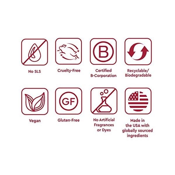 Desert Essence Daily Essential Moisturizer - Nourishing Jojoba, Organic Aloe Vera, Safflower & Geranium Oil - Light-Weight Soothing, Softening Facial Cream - Vegan, Non-GMO, Sulfate & SLS Free - 4oz