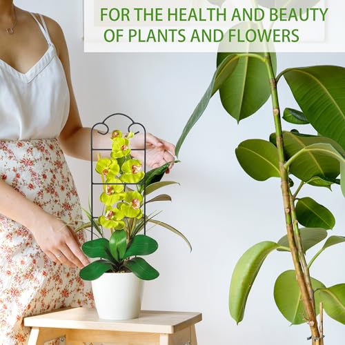 Image of 16 Inch Plant Trellis Indoor for Potted Plants 4 Pack Indoor Plant Trellis for Climbing Plants Houseplant Trellis Metal Garden Pot Trellis for Vine Ivy Support(16inch Black)